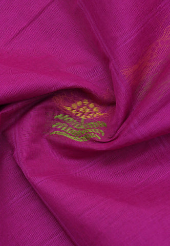 Kollam Buta Saree With Pink Colour and Border with Green Shade-(SA-552)