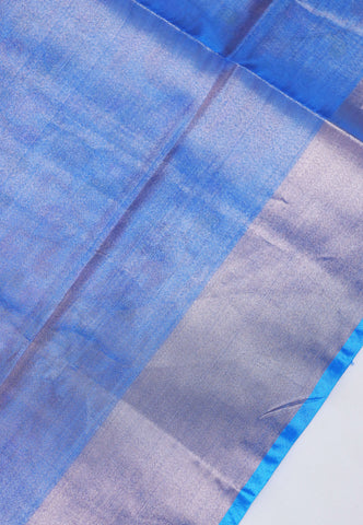 Tissue Print With Cream Collur and Border with Blue Shade - (SA-313)